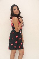 Tashu Kaushik Latest Pics